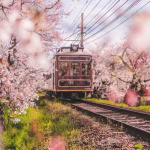 Voyage sur mesure au Japon